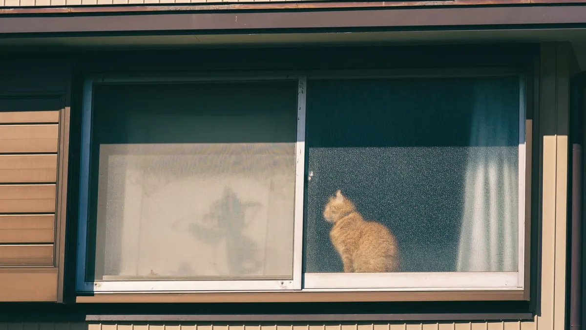 An orange cat sitting on a windowsill looking outside