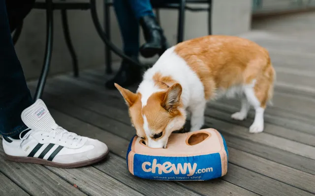 A dog eating from its bowl with a person calmly nearby