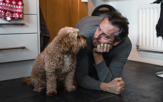 A curly-coated dog sitting on the kitchen floor gazing up at its owner