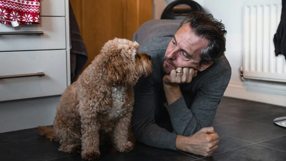 A curly-coated dog sitting on the kitchen floor gazing up at its owner
