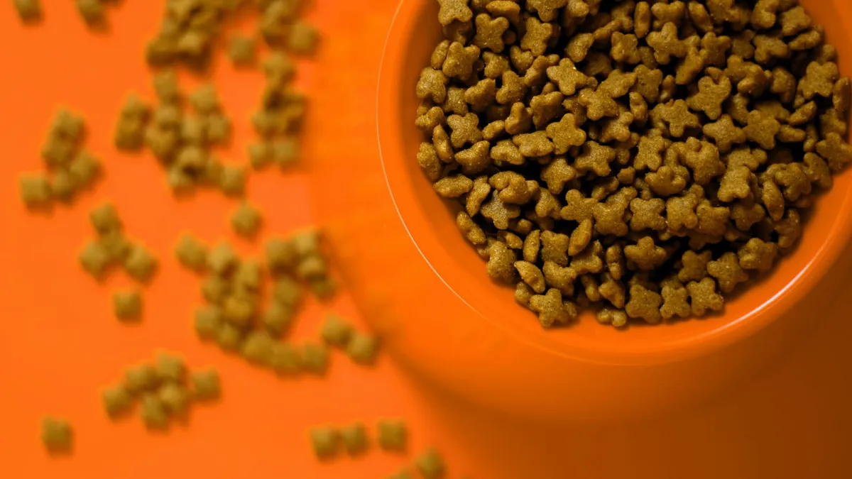 A measured bowl of dry dog food